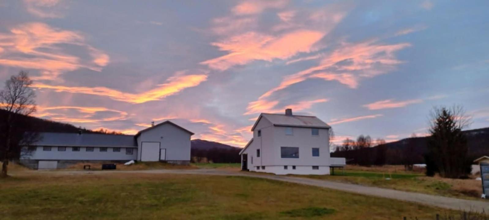 Tonsvik Enebolig Villa Tromso Ngoại thất bức ảnh